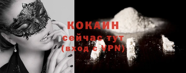 гашик Корсаков