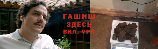 гашик Корсаков
