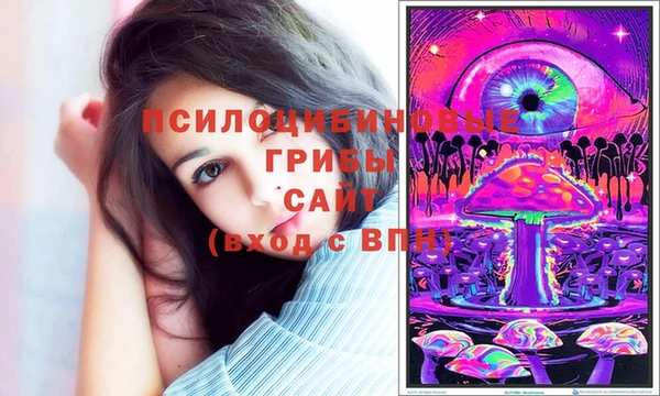 PSILOCYBIN Коряжма