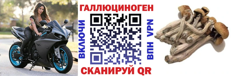 Псилоцибиновые грибы GOLDEN TEACHER  Новое Девяткино 